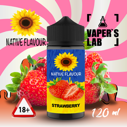 Фото купить жижу для вейпа без никотина native flavour strawberry 120 ml