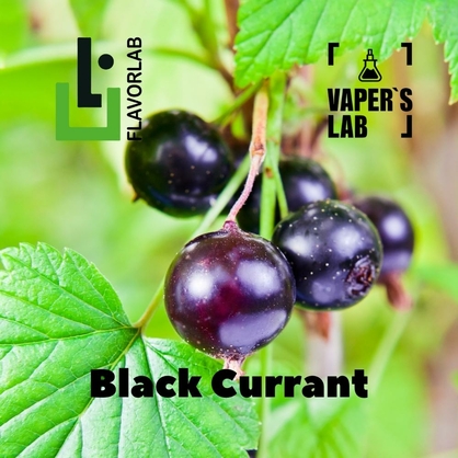 Фото на Aroma для вейпа Flavor Lab Black Currant 10 мл