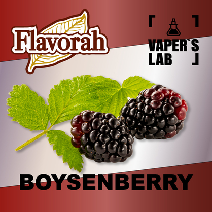 Фото на Аромку Flavorah Boysenberry Бойзенова ягода