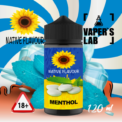 Фото жижа для вейпа купить native flavour menthol 120 ml