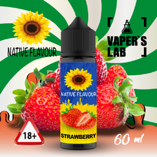 Лучшие жидкости для парения Native Flavour Strawberry 60 ml