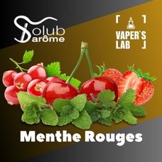  Solub Arome Menthe Rouges Фрукти з м'ятою