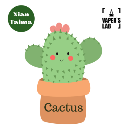 Фото, Видео, Лучшие пищевые ароматизаторы  Xi'an Taima "Cactus" (Кактус) 