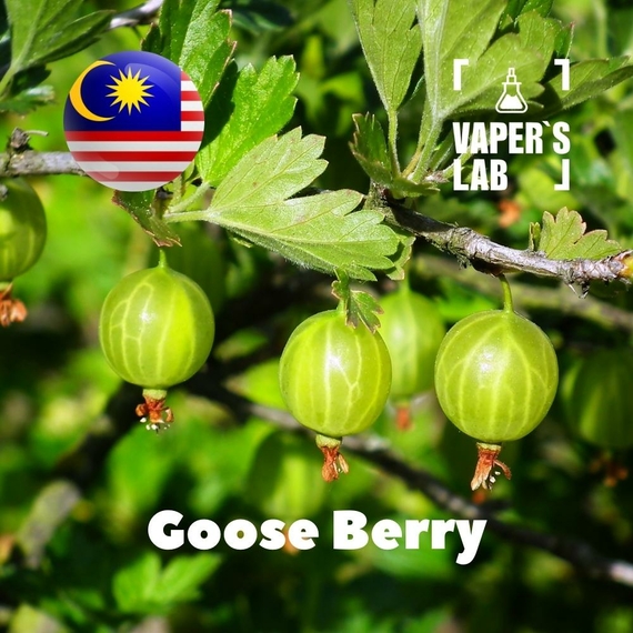 Відгуки на Аромку для вейпа Malaysia flavors Goose Berry