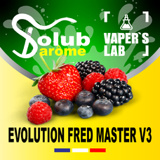 Solub Arome EvolutionFred Master V3 Ягоди та смородина