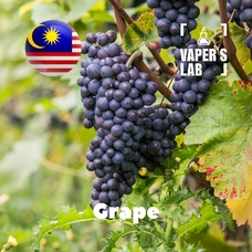 Aroma Компоненты для жидкостей Лучшие ароматизаторы для вейпа Malaysia flavors Grape