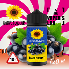 Жижа для электронных сигарет Native Flavour Black Currant 120 ml