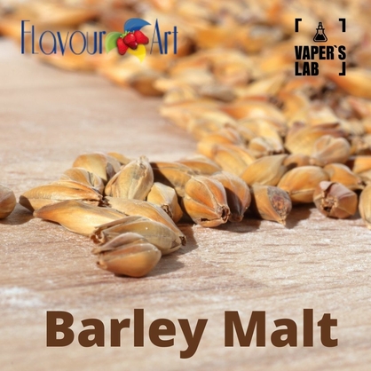 Фото, Відеоогляди на Аромки для вейпа FlavourArt Barley Malt Солод