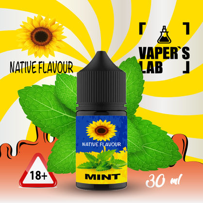 Фото жижа для пода native flavour salt mint 30 ml