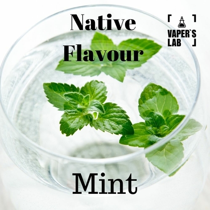 Фото купити жижу native flavour mint 120 ml