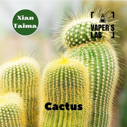 Фото, Відеоогляди на Аромки для вейпа Xi'an Taima "Cactus" (Кактус) 