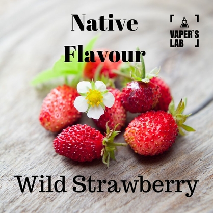 Фото купити жижу для вейпа без нікотину native flavour wild strawberry 120