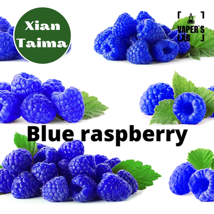 Фото, Відеоогляди на Ароматизатори для сольового нікотину Xi'an Taima "Blue raspberry" (Блакитна малина) 