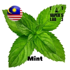 Malaysia flavors "Mint"