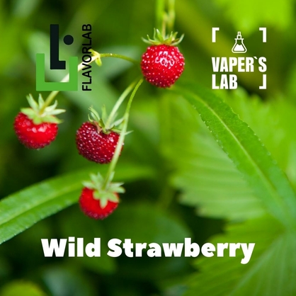 Фото на Aroma для вейпа Flavor Lab Wild Strawberry 10 мл