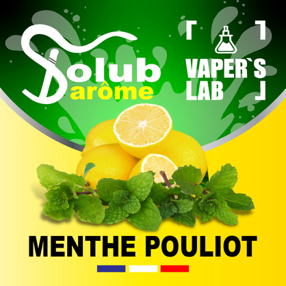 Фото, Відеоогляди на Ароматизатори для сольового нікотину Solub Arome "Menthe pouliot" (Лимон та м'ята) 