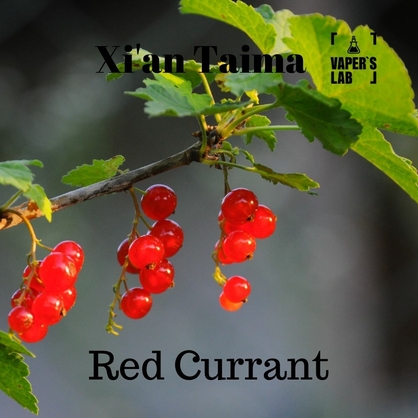 Фото, Видео, Ароматизаторы вкуса Xi'an Taima "Red Currant" (Красная смородина) 