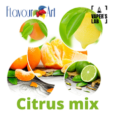 Купить ароматизатор FlavourArt citrus mix