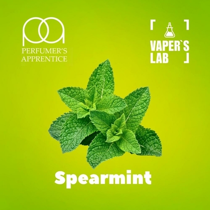 Фото, Відеоогляди на Кращі смаки для самозамісу TPA "Spearmint" (М'ята) 