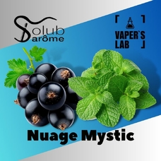  Solub Arome Nuage Mystic Смородина с мятой