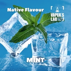 Лучшие вкусы для самозамеса Native Flavour Mint 30мл