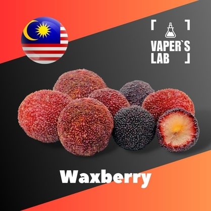 Фото на Аромку для вейпа Malaysia flavors Waxberry