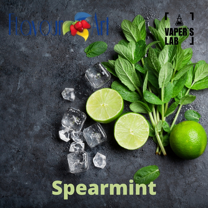 Фото, Відеоогляди на Aroma FlavourArt Spearmint М'ята