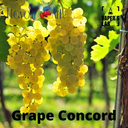 Фото, Відеоогляди на Аромки для вейпа FlavourArt Grape White Білий виноград