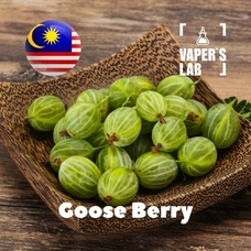  Malaysia flavors "Goose Berry"