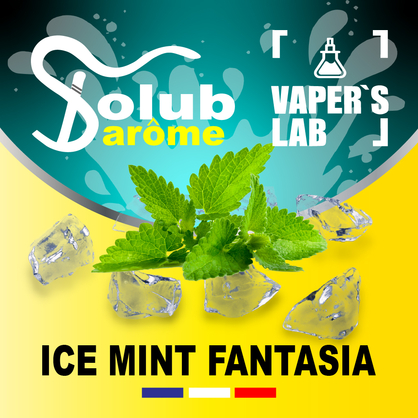 Фото, Видео, Арома для самозамеса Solub Arome "Ice mint fantasia" (Мята ментол и куллер) 