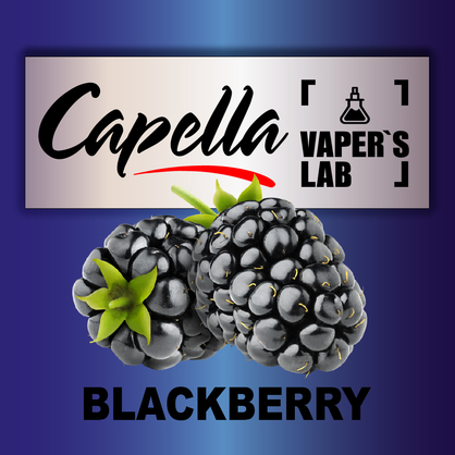 Фото на аромку Capella Blackberry Ежевика