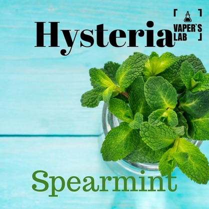 Фото, Видео на Жижи для вейпа Hysteria Spearmint 100 ml