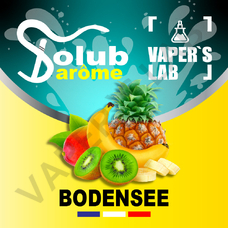  Solub Arome Bodensee Цитрусові та екзотичні фрукти