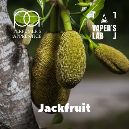 Фото, Видео, ароматизатор для самозамеса TPA "Jackfruit" (Джекфрут) 