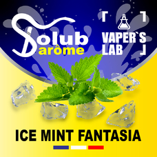 Ароматизаторы вкуса Solub Arome Ice mint fantasia Мята ментол и куллер