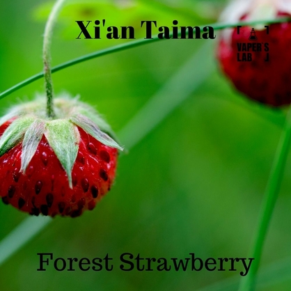 Фото, Відеоогляди на Ароматизатори для вейпа Xi'an Taima "Forest Strawberry" (Суниця) 