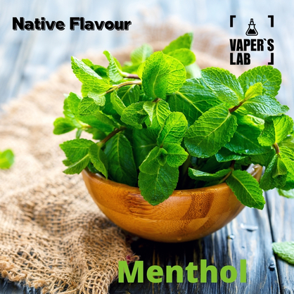 Фото, Відеоогляди на Аромки для вейпів Native Flavour "Menthol" 30мл 