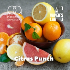 Аромка для самозамеса TPA Citrus Punch Цитрусовый напиток