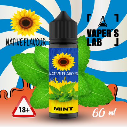 Фото купить жижу native flavour mint 60 ml