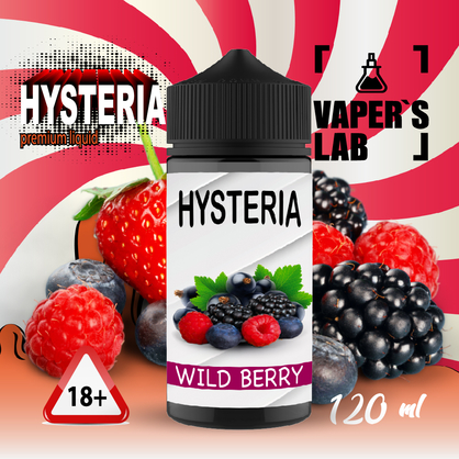 Фото заправка на вейп hysteria wild berry 100 ml