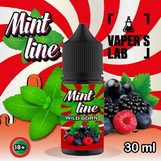 Жижи для пода Mint Line Salt 30 мл Wild born