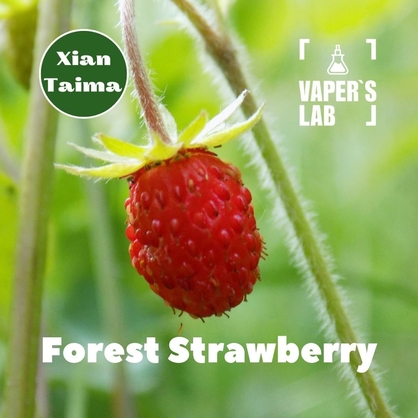 Фото, Видео, Арома для самозамеса Xi'an Taima "Forest Strawberry" (Земляника) 