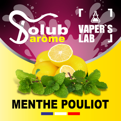 Фото, Відеоогляди на Ароматизатори для сольового нікотину Solub Arome "Menthe pouliot" (Лимон та м'ята) 