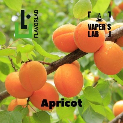 Фото на Аромки  для вейпа Flavor Lab Apricot 10 мл