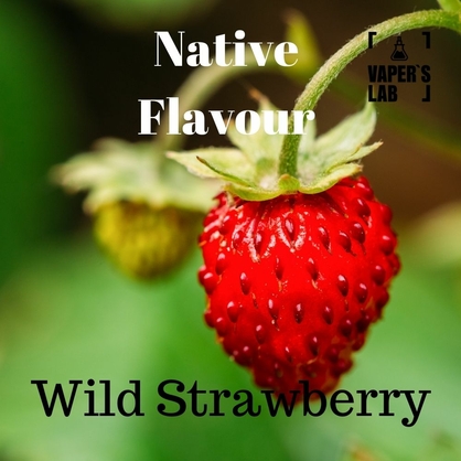 Фото, Відео на Жижи для вейпа Native Flavour Wild Strawberry 100 ml