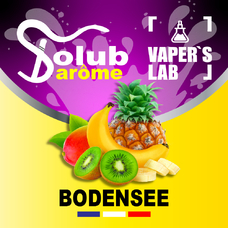 Ароматизаторы для вейпа Solub Arome Bodensee Цитрусовые и экзотические фрукты