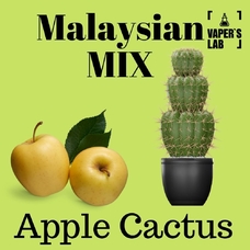 Malaysian MIX Salt "Apple cactus" 15 ml