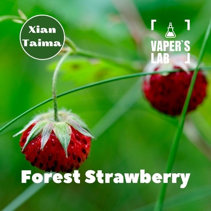 Фото, Відеоогляди на Ароматизатори для вейпа Xi'an Taima "Forest Strawberry" (Суниця) 