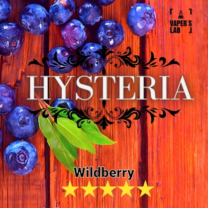 Фото заправка для вейпа купити hysteria wild berry 30 ml