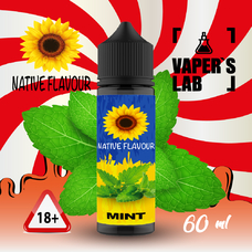 Жидкости для вейпа Native Flavour Mint 60